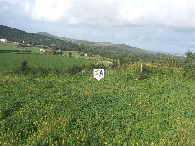 Foto ff0a2579-7ffa-4a0b-b450-297f78b30312. Terreno residenziale in Barbate Barbate