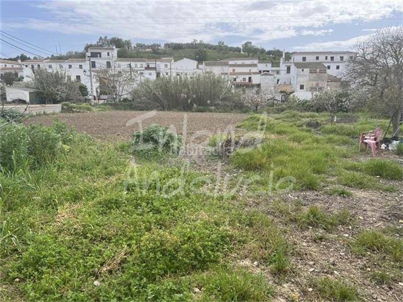 Foto da52f348-5cb6-49c9-af60-a21d8f3eb2df. Casa a schiera in Priego de Córdoba