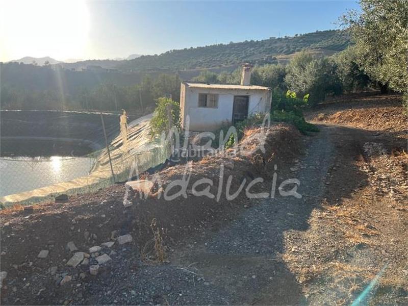 Foto 8a1ea880-9e85-4efa-bfd9-24b8fa87c0af. Terreno residenziale in Periana
