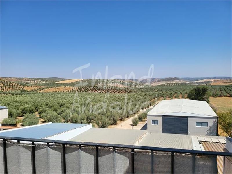Foto 4e3f3d8f-f480-4b9c-bbe8-cd59c256156a. Casa adosada en Alameda