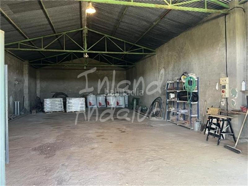 Foto c9619b2f-7a70-40cf-a812-892f44a3ada7. Casale con piscina in Cabra