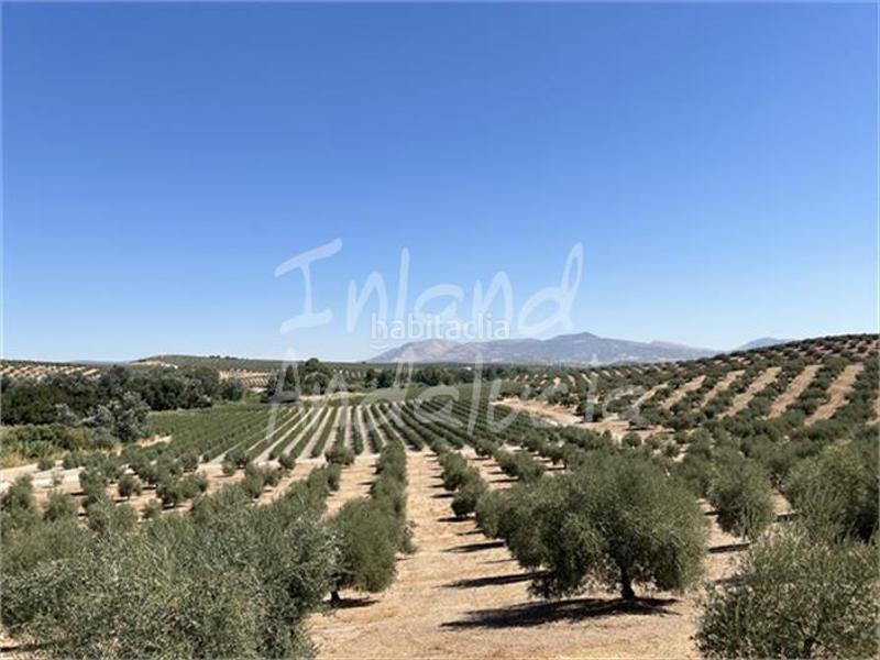 Foto 7b08f60c-9f4d-42e6-a9eb-5418bca88725. Country house with pool in Cabra