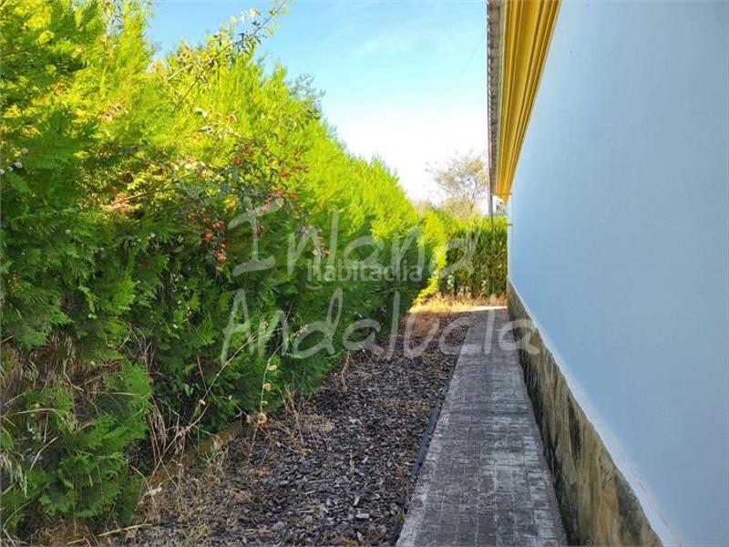 Foto 27498c8a-5c29-426e-8e76-39924918c2bc. Maison avec parking piscine dans Marchena