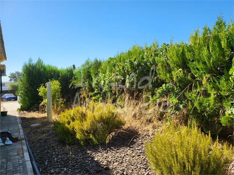 Foto a16dce96-e7ab-47db-971b-8e87993a5c1d. Maison avec parking piscine dans Marchena