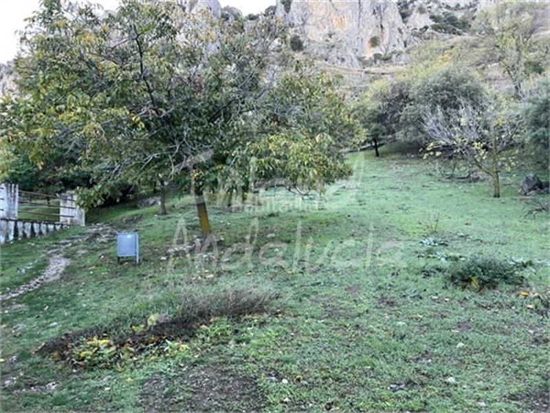 Foto c1a21add-6ef6-435f-92e6-045ba156f1c3. Semi detached house with parking in Zuheros