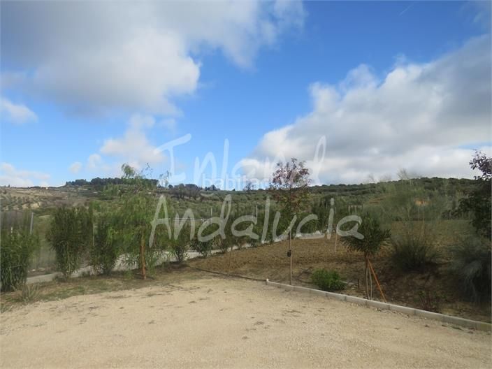Foto 24d7ed0d-819c-43a9-aaed-52157ebb38a0. Chalet en Martos