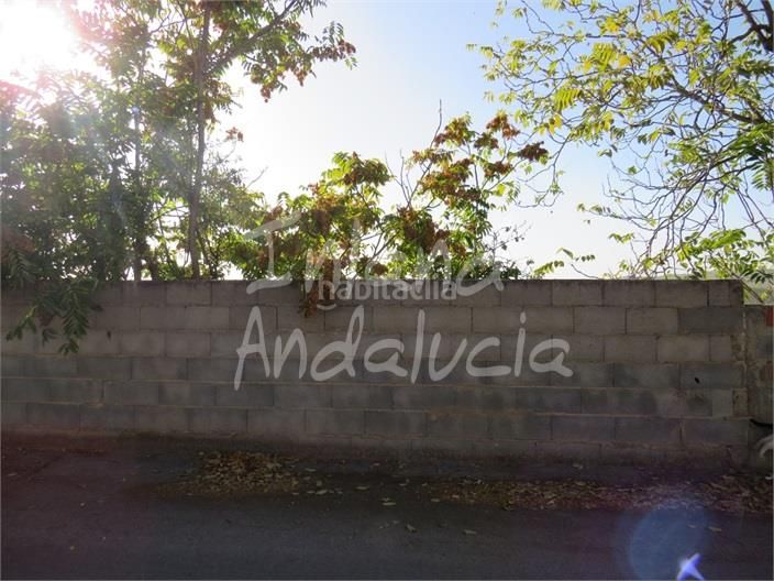 Foto f143ae1c-47f2-44fe-be7f-795a50a3f840. Terreny residencial a Alcaudete