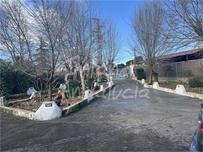 Foto 8347ea02-6390-446a-95a7-e911c508a495. Chalet en Alcalá la Real