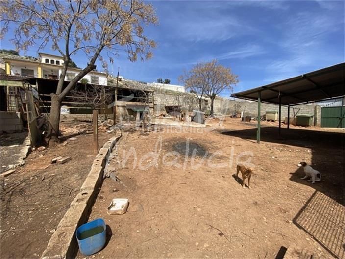 Foto c37559ea-f34f-4751-a1b0-22d3e2b8bf7d. Local comercial a Íllora
