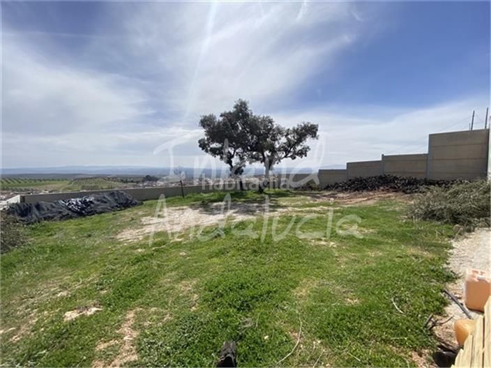 Foto 16b1d73b-3e79-4e65-a5ed-f5433117a212. Terreno residencial en Íllora