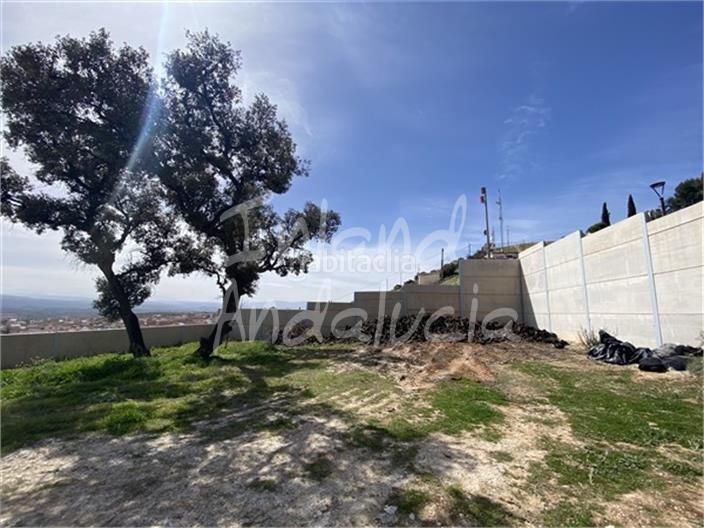 Foto aff82dca-696b-483b-a203-80dc46de226e. Terreno residencial en Íllora