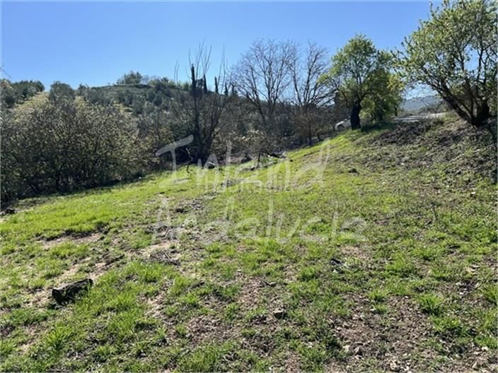 Foto f6a0dfd8-62bc-40b0-ae31-5dd027297aa4. Masia a Alcalá la Real