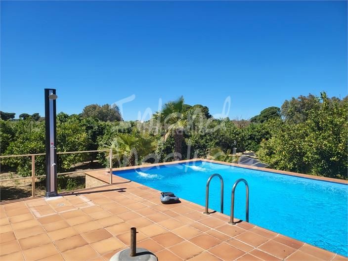 Foto 7179dea5-f64d-4bf9-8c50-c709f24b3477. Mas avec parking piscine dans Marchena