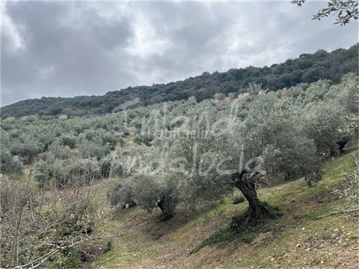 Foto 30468d16-903b-430f-8ade-8f9617d2dfb0. Masia amb aparcament a Alcalá la Real