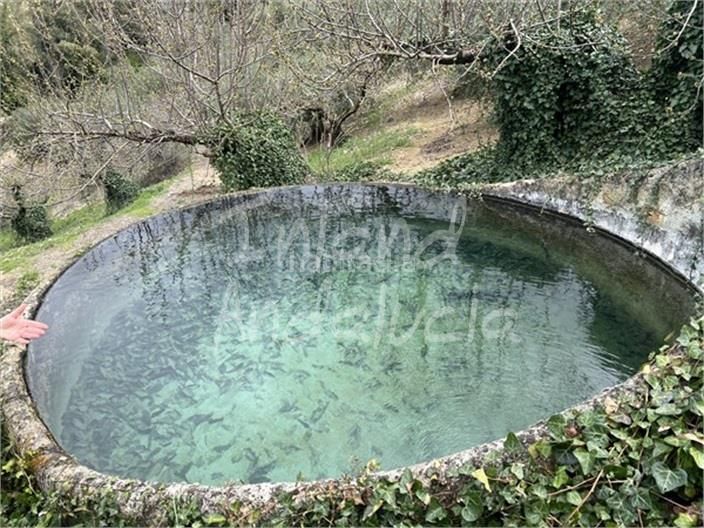 Foto 5e957f39-98f6-4d5b-9b70-12069a4cf28f. Masia amb aparcament a Alcalá la Real