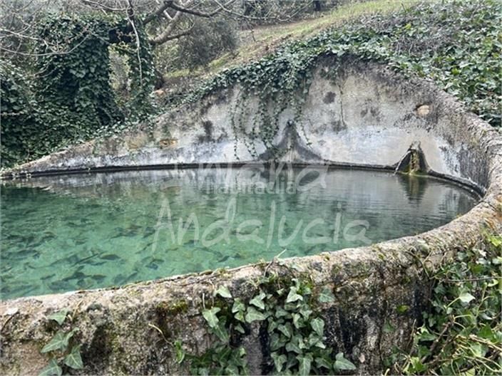 Foto 66bd65c0-4dde-47e3-9864-cd0c332e40c6. Masia amb aparcament a Alcalá la Real