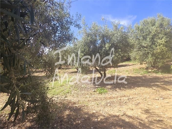 Foto cf4dcbb3-42f3-4254-92a3-7347a2f01123. Masia amb aparcament a Alcaucín