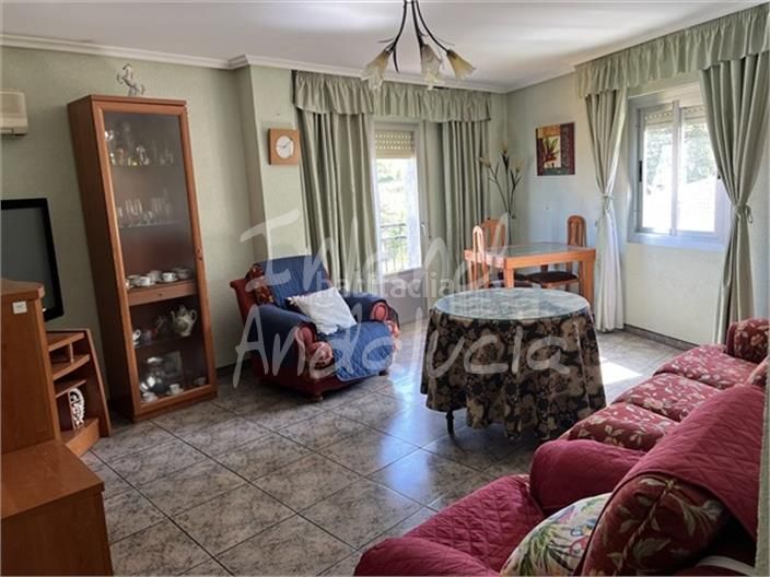 Foto f950f389-fa0e-460f-9721-f502026a107b. Apartament a Castillo de Locubín
