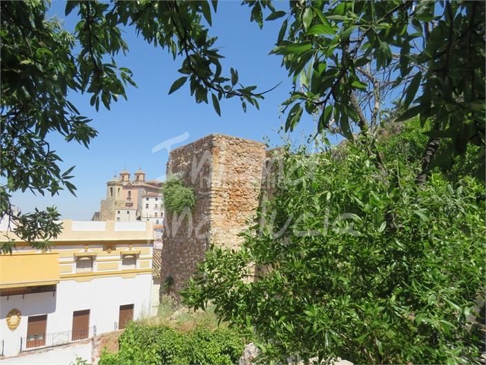 Foto 03ac882d-0257-4322-adb8-5f56806fa922. Casa adosada en Martos
