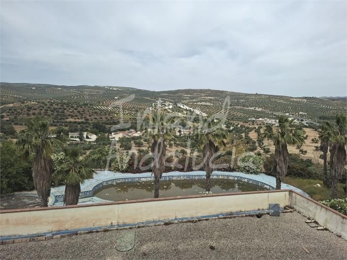 Foto 99e82ad3-7a8a-4d0d-839f-38b098c766e7. Local comercial a Loja