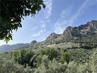 Casale in Priego de Córdoba