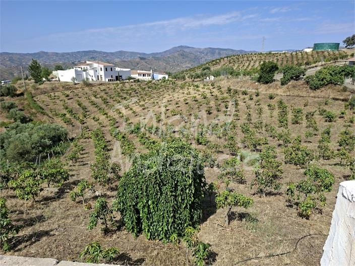 Foto 1869f281-14d6-46a0-a941-115af93a9bb9. Terreny residencial a Norte - Barrio del Pilar - El Reñidero Vélez - Málaga