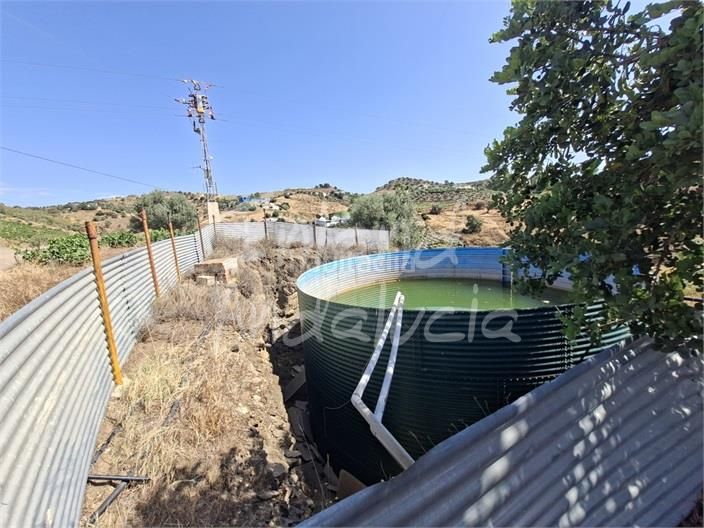 Foto 462ab99f-08a1-44b1-8cdb-bb97f6a9b342. Terreny residencial a Norte - Barrio del Pilar - El Reñidero Vélez - Málaga