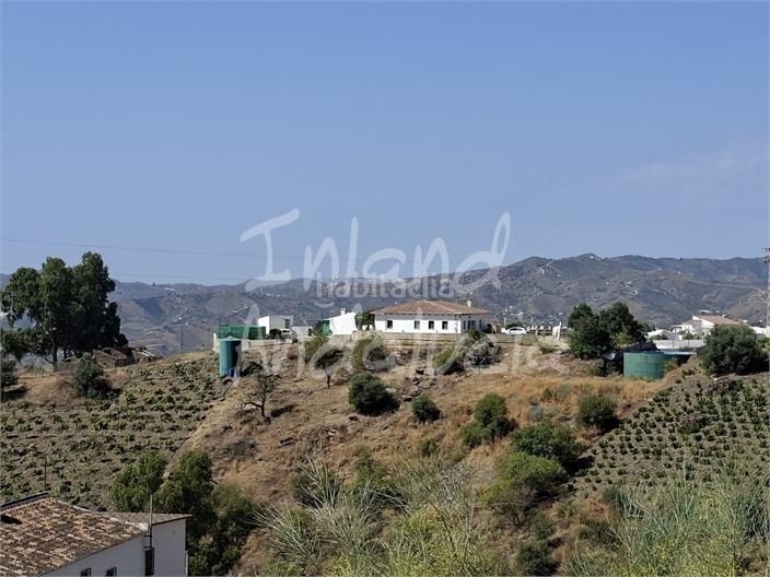 Foto c3a98f3e-1f96-4789-9c25-56229a97a518. Terreny residencial a Norte - Barrio del Pilar - El Reñidero Vélez - Málaga