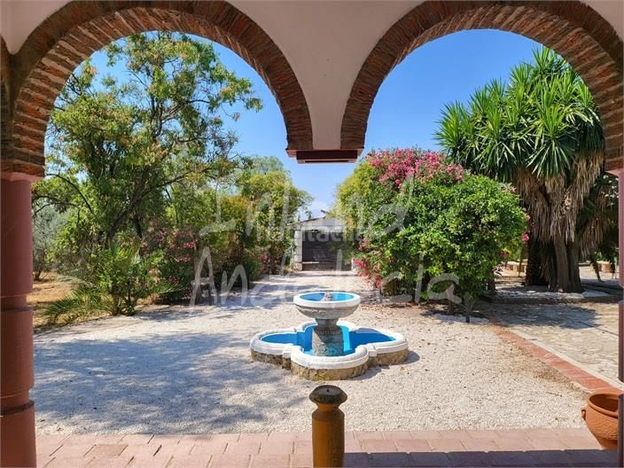 Foto e487ed0f-bda1-481a-8bd3-2a0d96a5aea6. Casa amb piscina a Puente Genil