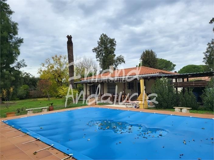 Foto 90344831-5f1c-4889-9cad-e10f4ba71faf. Casa amb piscina a Marchena