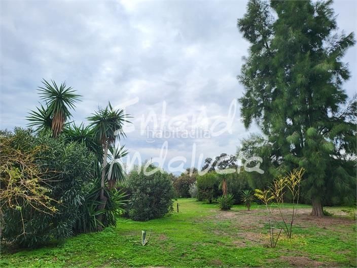 Foto e0f6441c-157d-41e5-897e-8359eefd8f57. Casa amb piscina a Marchena