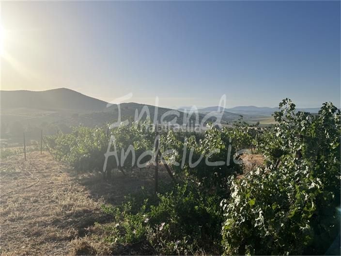 Foto 4d8beabc-adcd-4062-a829-a41e9ac1a7bf. Masia amb aparcament piscina a Alcalá la Real