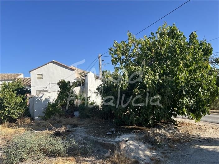 Foto 23f194f8-2b3b-47d6-8a94-4f6368525452. Masia a Alcaudete
