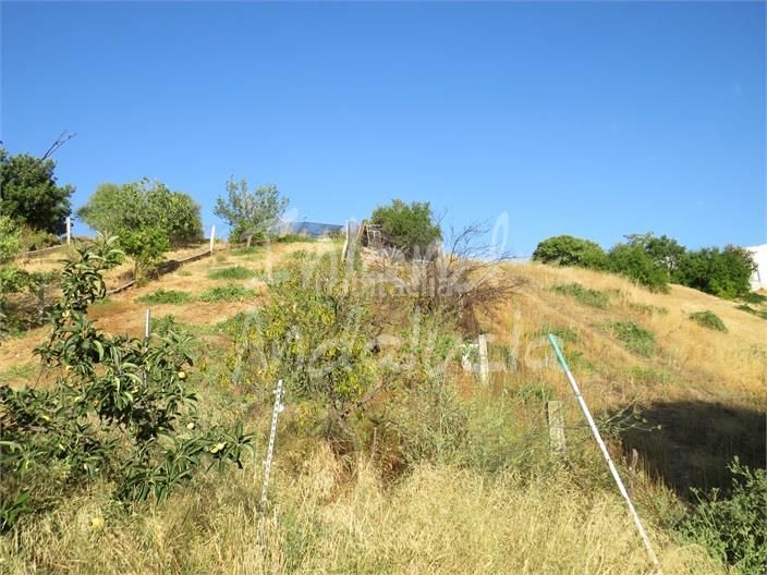 Foto 1c0b24be-42b7-4667-993c-16a206fd6d96. Semi detached house with parking in Martos