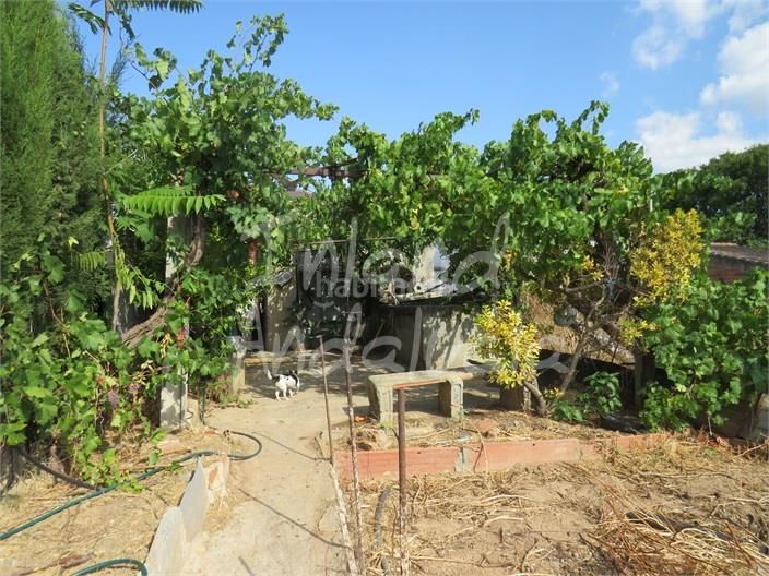 Foto ae71bd88-c31b-4027-82dc-6b710d4bf12d. Semi detached house with parking in Martos