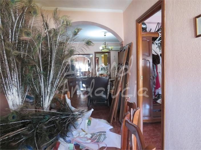 Foto cdf1045b-d0b8-4645-9dc2-ee5c75bb508e. Semi detached house with parking in Martos