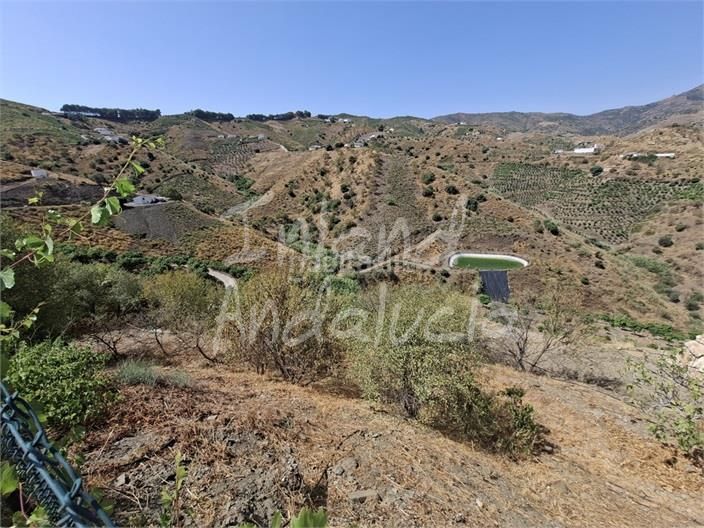 Foto 09a1a39c-acbe-4609-a854-99b94c0c651f. Masia amb piscina a Borge (El)