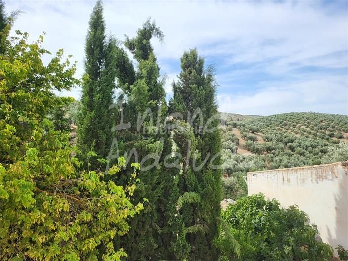 Foto d7d59adf-a859-47e2-97d5-ebf7aa9fea60. Casa adossada a Villanueva de Algaidas