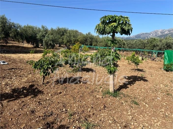 Foto 65e30a3e-67e4-4a39-a664-7927d0298ac3. Casa adossada a Periana
