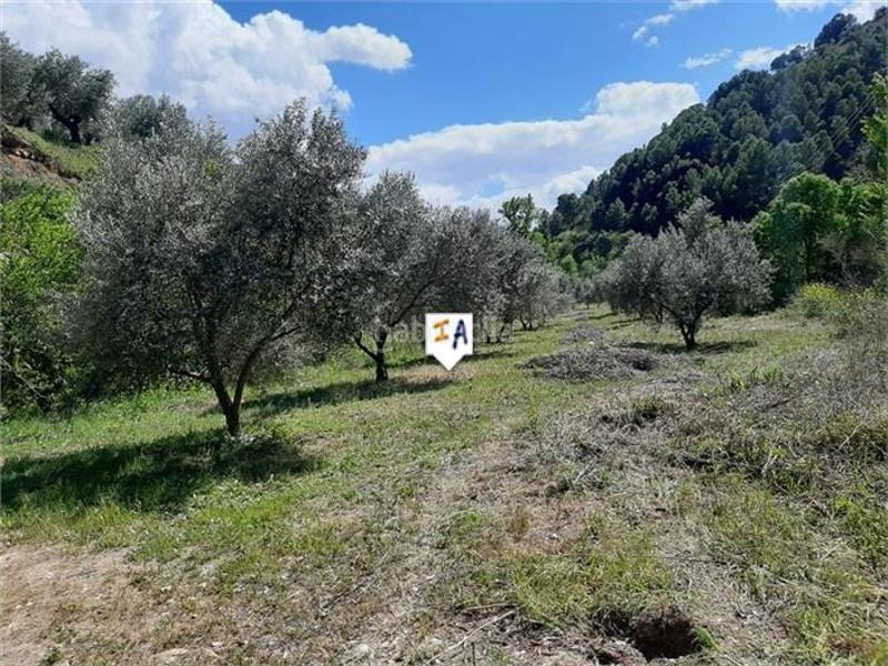 Foto 7e4921cc-b669-4b24-b132-cd6bb8378644. Wohngrundstück in Montefrío