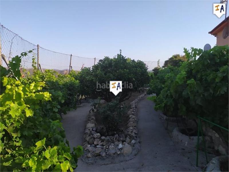 Foto 8f07693f-8330-423d-a805-bf6d771f7b6e. Terrain résidentiel dans Alcaucín