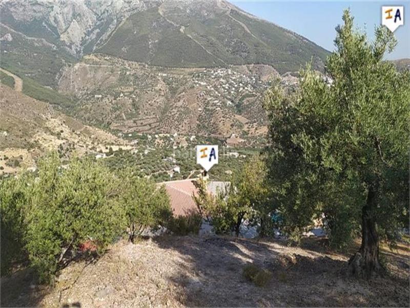 Foto d8c34e28-c55d-4bda-95ac-39194fb38f8f. Wohngrundstück in Alcaucín