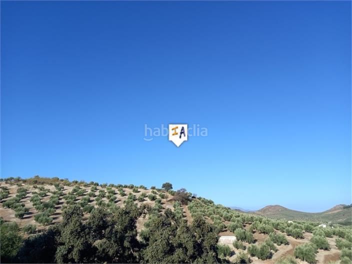 Foto 9e8cd072-2b4a-4cd9-b075-13aa2532330e. Casa adossada a Alcaudete
