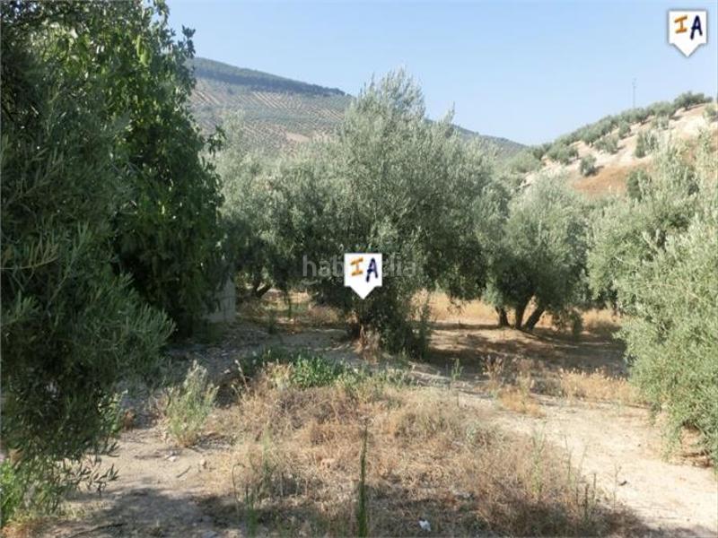 Foto d12c3e1e-4332-4896-9ac0-2b1a2b51cd33. Mas avec piscine dans Alcaudete