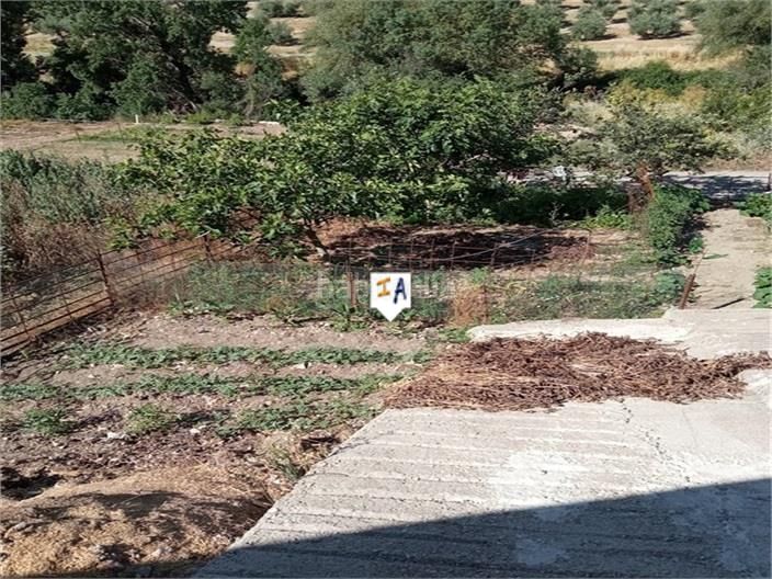 Foto ed9603d7-5f37-43b9-915c-dfd5b1447ab8. Casa a schiera con parcheggio in Benalúa de las Villas