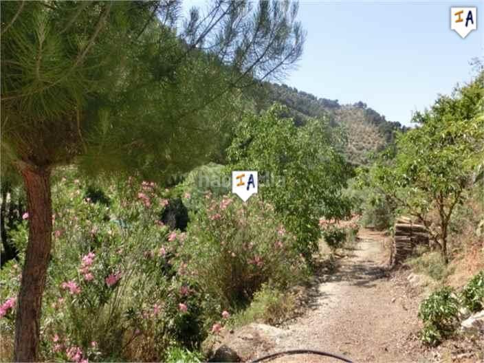 Foto 0d329ce4-028a-4f5a-9d2b-b4fe87474f37. Country house with parking in Montefrío