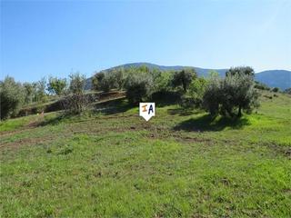 Terreny residencial a Martos