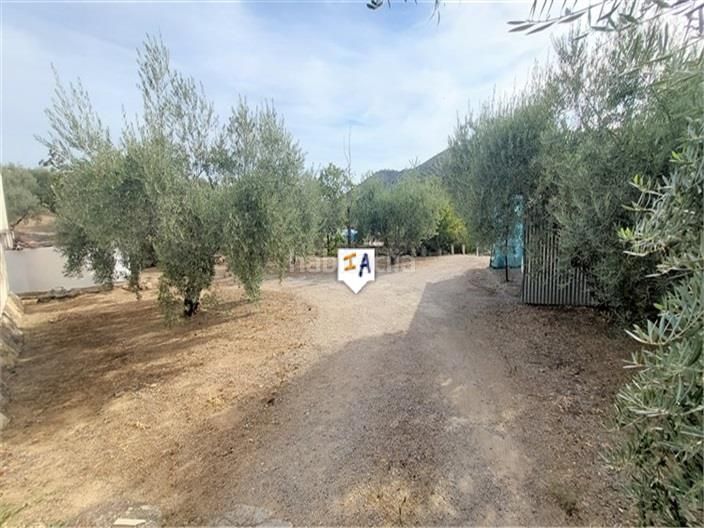 Foto 6264af81-bf21-41ed-91f9-3eb6ba583ae7. Casa adossada amb aparcament a Almedinilla