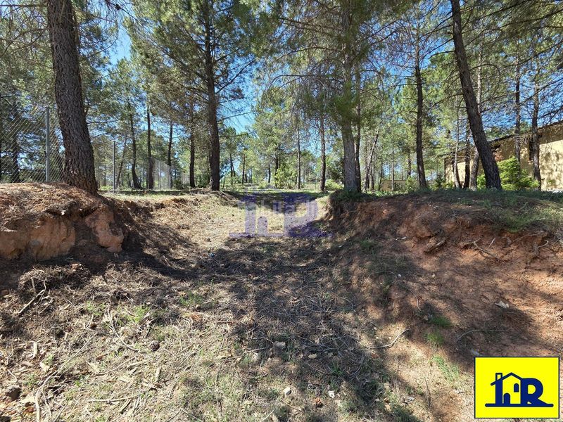 Foto 3607f73a-40b9-4e7a-8e43-917a42a17b22. Finca rústica a Fuentenava de Jábaga