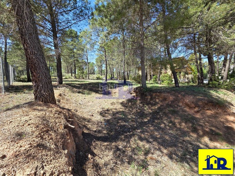 Foto bfb42b63-3cdf-4a4c-9fae-f9a3c45a10fb. Finca rústica a Fuentenava de Jábaga